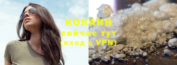 стафф Арсеньев